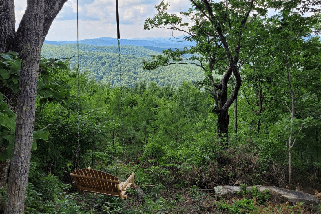 Tree swing overlooking the GA mountains